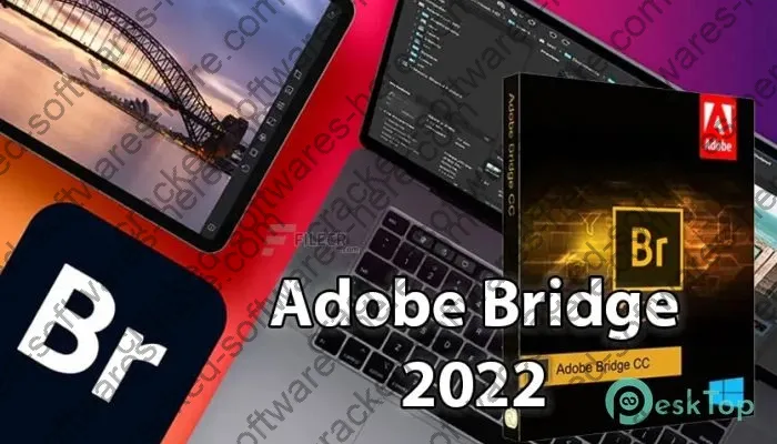 Adobe Bridge 2024 Keygen